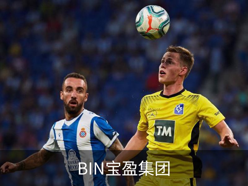BIN宝盈集团介绍